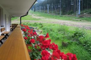 Apartmany Biela Put - Veverica