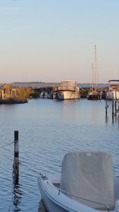 Bateaux-hotels Lady of Bahia : photos des chambres