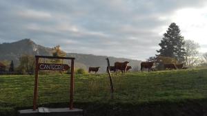 B&B / Chambres d'hotes le relais des fees : photos des chambres