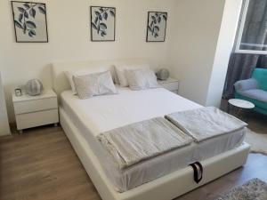 Studio Angel stan na dan Novi Sad