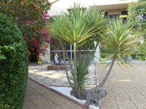 Maisons d'hotes Maison Monica Exeptionnel-Jardin paysage ZEN : photos des chambres