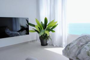 Apartamento con vistas al mar