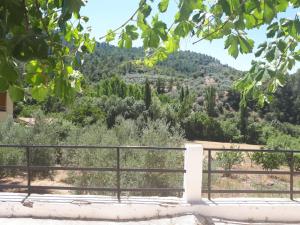 Casa Rural Arroyofrio Riópar