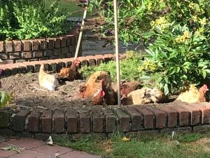 Ferienwohnung am Komisenpad