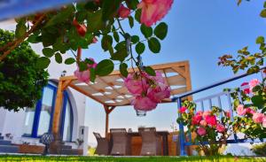 Villa Rose on the beach