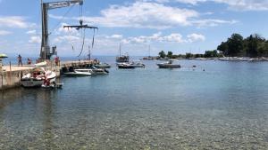 Apartmani Banina