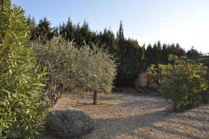 Maisons d'hotes La Maison de Line : photos des chambres