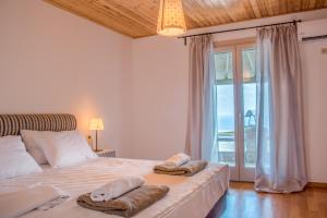 Anastasis Luxury Villa Andros With Heated Pool Andros Greece