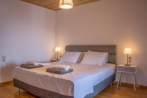 Anastasis Luxury Villa Andros With Heated Pool Andros Greece