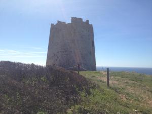 Amalfatah Tuerredda img29