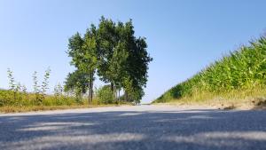 Ferienwohnung Utkiek