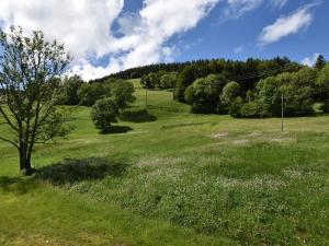 Chalets Beautiful Chalet Amidst Mountains in Saulxures sur Moselotte : photos des chambres