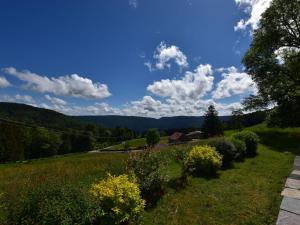 Chalets Magnificent chalet in Saulxures sur Moselotte : photos des chambres