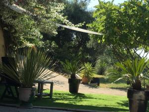B&B / Chambres d'hotes Les terrasses sur mer : photos des chambres