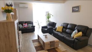 Spacious apartment with private parking Pula