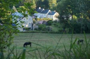 B&B / Chambres d'hotes Le Clos Saint Jean : photos des chambres