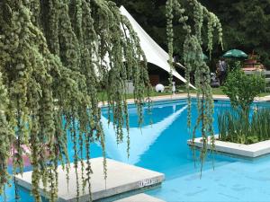 Hotels Hotel-Restaurant 