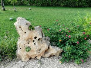 Giardino DOriente