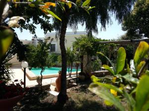 Casal del Borgo, an old farmhouse surrounded by greenery and a few steps from the village., Prázdninové domy Ostuni - big - 4