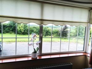 Relaxing Break at Coshel View