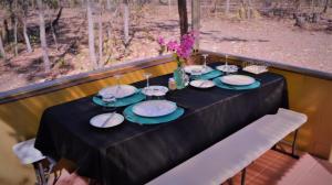 Ninas Ark Wildlife Sanctuary Package