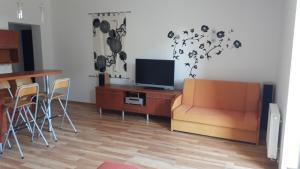 Wisełka Studio