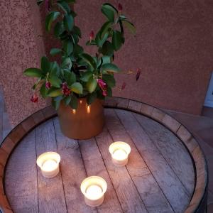 B&B / Chambres d'hotes Villa Catharina : photos des chambres