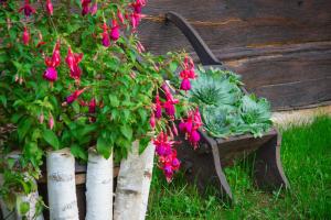 Kuća za odmor Cindrić 