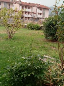 Albergo alla Pineta