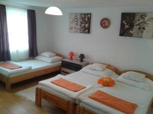 100 ÉVES NOSZTALGIA APARTMAN