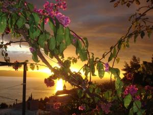 Holiday home Sunce