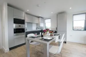 Pen Dinas Cardiff Apartment - Mountain Ash