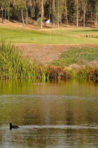 Hotel Green en Marbella