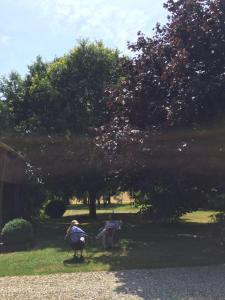 Maisons de vacances L’abri du monde : photos des chambres