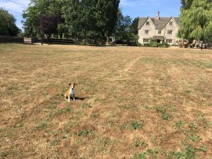 The Manor Farm Alderton