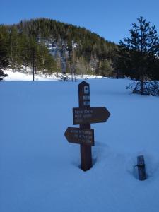 Hotels Hotel Chamois d'Or : photos des chambres