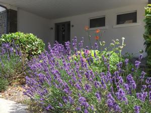 La villa des Savoyards