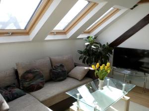 Dach-Studio-Runkel Schadecker Straße 6