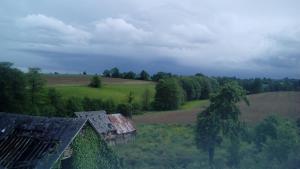 Le Domaine photo 18