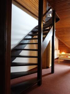 Hotel Trosky