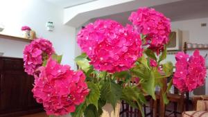 Hiker & Biker House - Private Parking & Garden