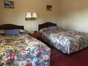 Standard Double Room room in Ole Miss Motel