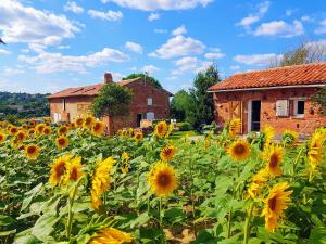 B&B / Chambres d'hotes Les Hauts de Sames : photos des chambres