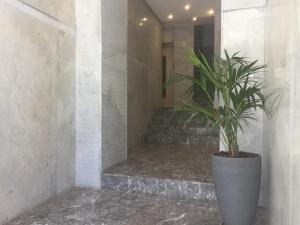 Appartement Familial Emile Zola