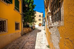 Guest House Golden Goose