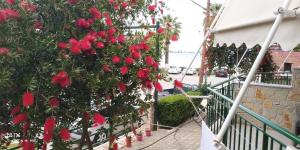 Lerna Rooms Argolida Greece