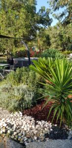 B&B / Chambres d'hotes Chambres d'Hotes Barraconu : photos des chambres