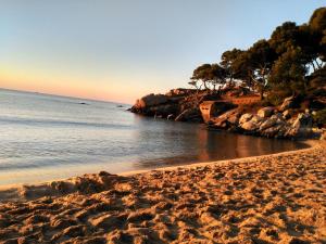 Edén Playa