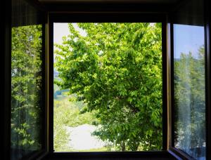 LIncanto dei Sibillini