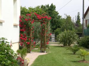L 'olivier photo 15